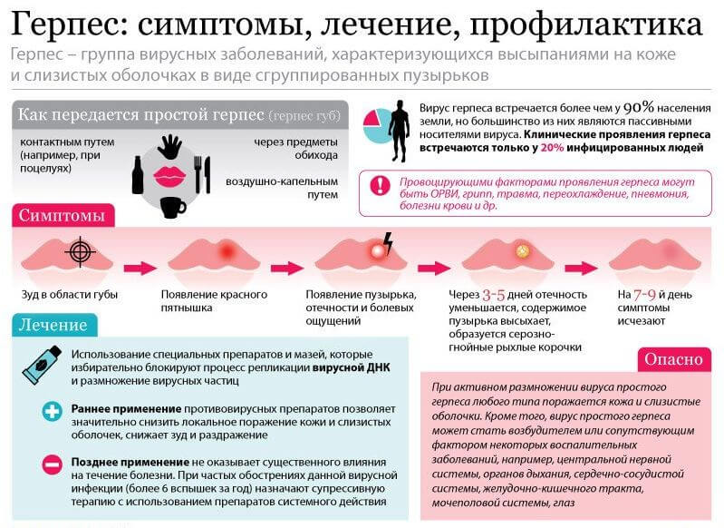 Герпес Виды Фото