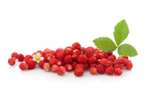 ������ ���������, ������, ����������������, ���������, ����������, �����������, �������